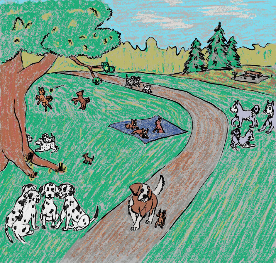 Dogs in the Park
