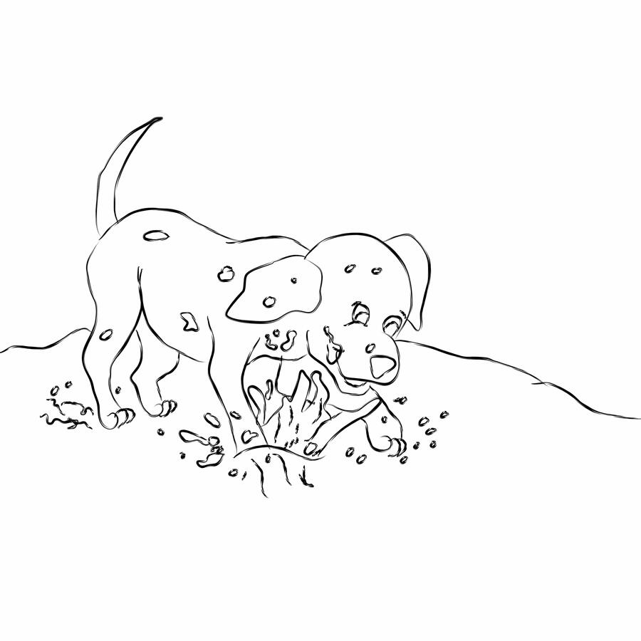 Dalmatian puppies playing